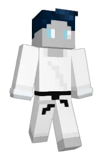 XIIXV Minecraft avatar full body