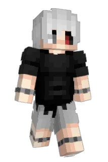 XING_RDM Minecraft avatar full body