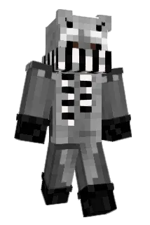 XINIM001 Minecraft avatar full body