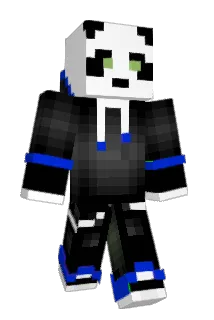 XLS3XYVAGUITA Minecraft avatar full body