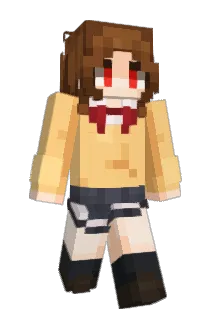XMinerZD Minecraft avatar full body