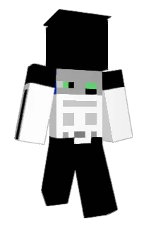 XNiklasX Minecraft avatar full body