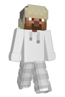 XNo3l Minecraft avatar full body