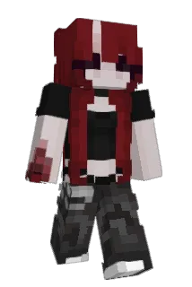 XOa701 Minecraft avatar full body