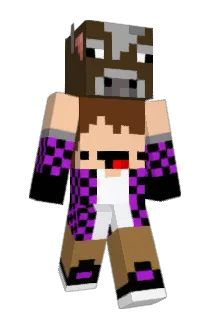 XPM1 Minecraft avatar full body