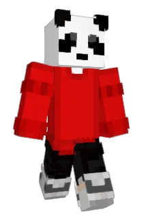 XPaka Minecraft avatar full body