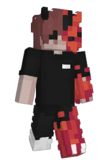 XRaedFire Minecraft avatar full body