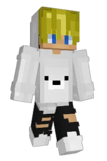XShadow220 Minecraft avatar full body