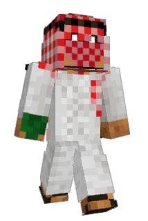 XSmall10 Minecraft avatar full body