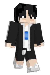 XTV10 Minecraft avatar full body