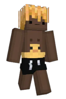 XVIDEOSMEMBER Minecraft avatar full body