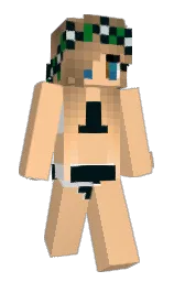 Custom render preview