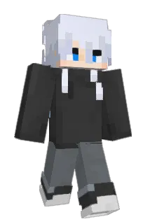 X_C520 Minecraft avatar full body