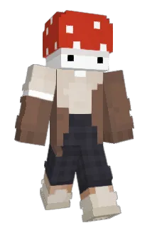X_Classic Minecraft avatar full body