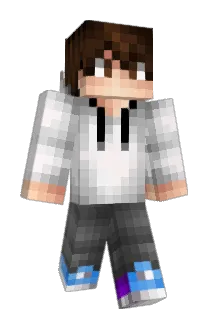 X_Field Minecraft avatar full body