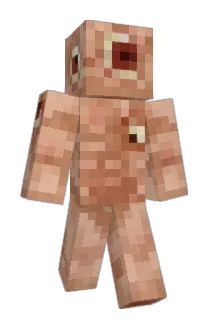 Xaechireon Minecraft avatar full body