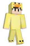 Xamtle Minecraft avatar full body