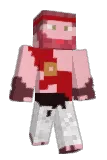 Xaolon Minecraft avatar full body
