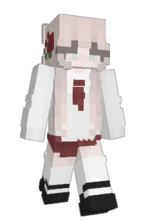 Xarms Minecraft avatar full body
