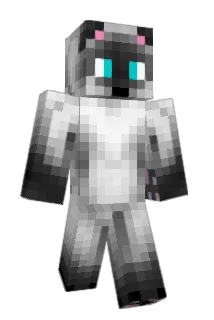 XavisionUPD Minecraft avatar full body