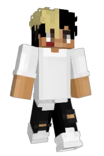 XedEffect Minecraft avatar full body