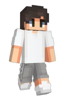 XminerX1 Minecraft avatar full body