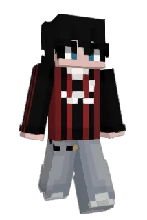 XninjaX1312 Minecraft avatar full body