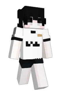 Xolino Minecraft avatar full body
