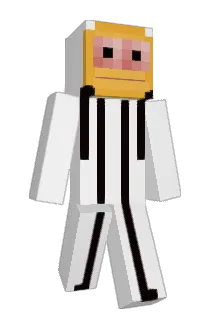 Xonicstar Minecraft avatar full body