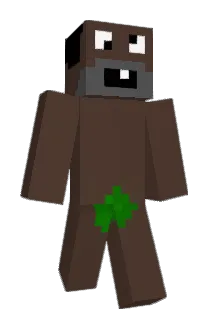 Xoyur Minecraft avatar full body