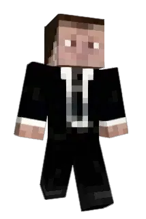 XrayCam Minecraft avatar full body