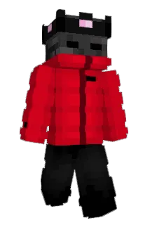Xtqlity Minecraft avatar full body