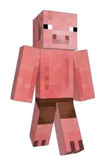 XxEndermGamingxX Minecraft avatar full body