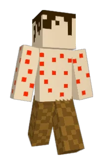 Xxedvin1xX Minecraft avatar full body