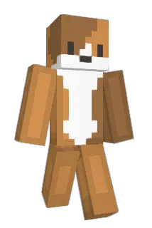 Y0RK2 Minecraft avatar full body