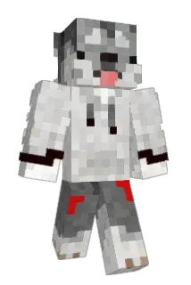 YFigoli Minecraft avatar full body