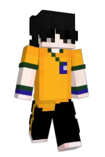 YFrosty11 Minecraft avatar full body