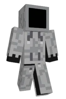 YM169 Minecraft avatar full body
