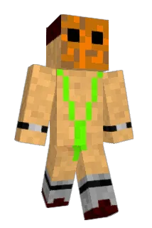 YOU_HAVE_A_WAHT Minecraft avatar full body
