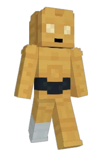 YSadovsky Minecraft avatar full body