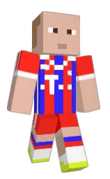 Custom render preview