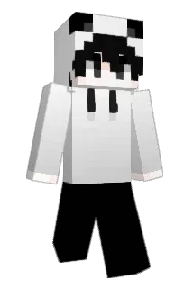 YYANDWW666 Minecraft avatar full body