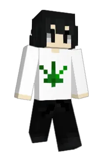 YYZU Minecraft avatar full body