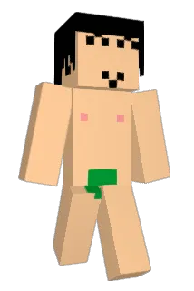 YaG13 Minecraft avatar full body