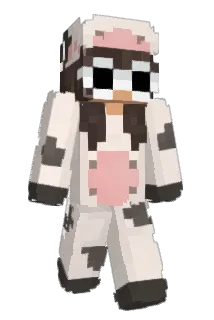 YeHAWWOE Minecraft avatar full body