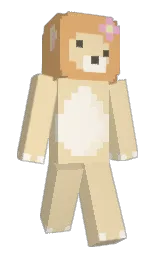 Custom render preview