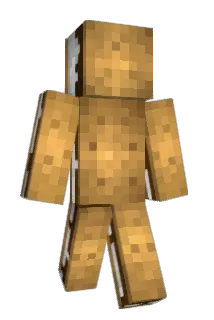 YellenJack Minecraft avatar full body