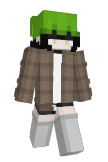 YellowDN Minecraft avatar full body