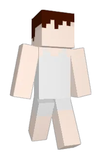 Yenovulp Minecraft avatar full body