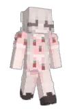 Yewony Minecraft avatar full body